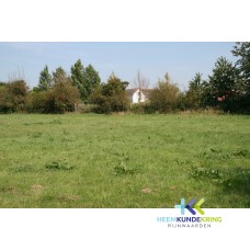 Houberg vuilstort Coll.P.Snip F0000047